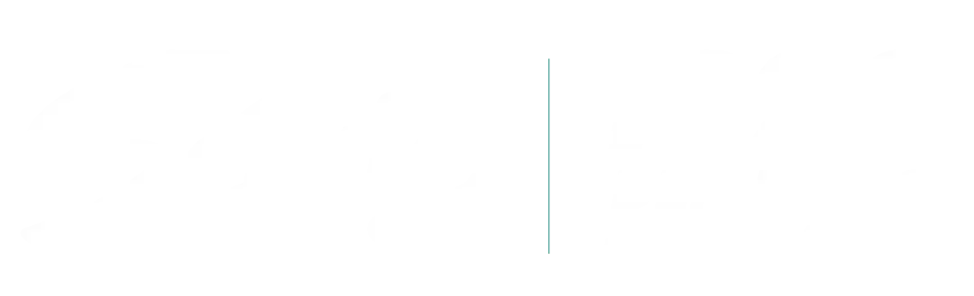 Sávio souza Cruz Deputado Federal 1890